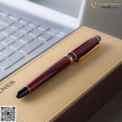 Bút Bi Bizner TL-075 (FS) Thiên Long (5)