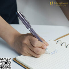 Bút Lông Bi Cao Cấp Parker IM PRM X-D VI CT TB4-1975584 (3501179755847) 1