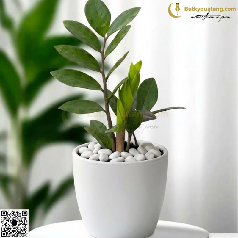 Khám phá 15+ quà tặng 20/10 cho khách hàng, đối tác nữ ý nghĩa và tinh tế - Butkyquatang.com 