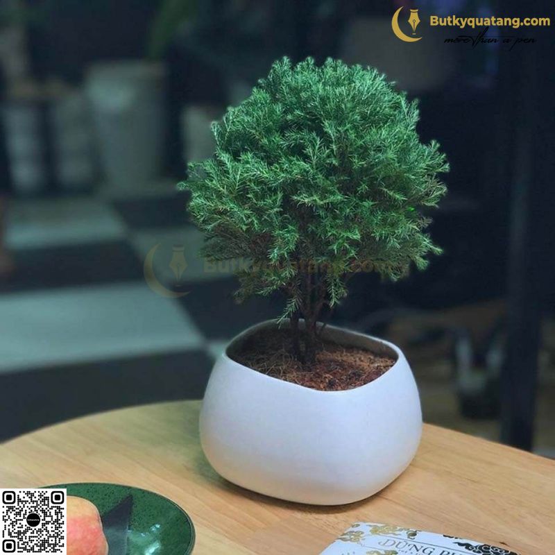 Top 15+ quà tặng sếp nữ 20/10 sang trọng và ý nghĩa - Butkyquatang.com 